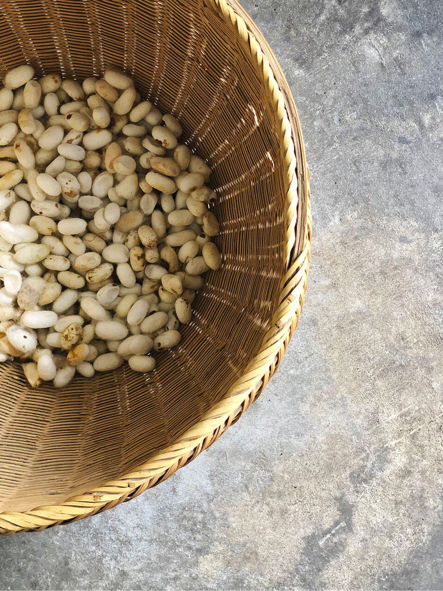 Basket filled with beans on a textured surface.
