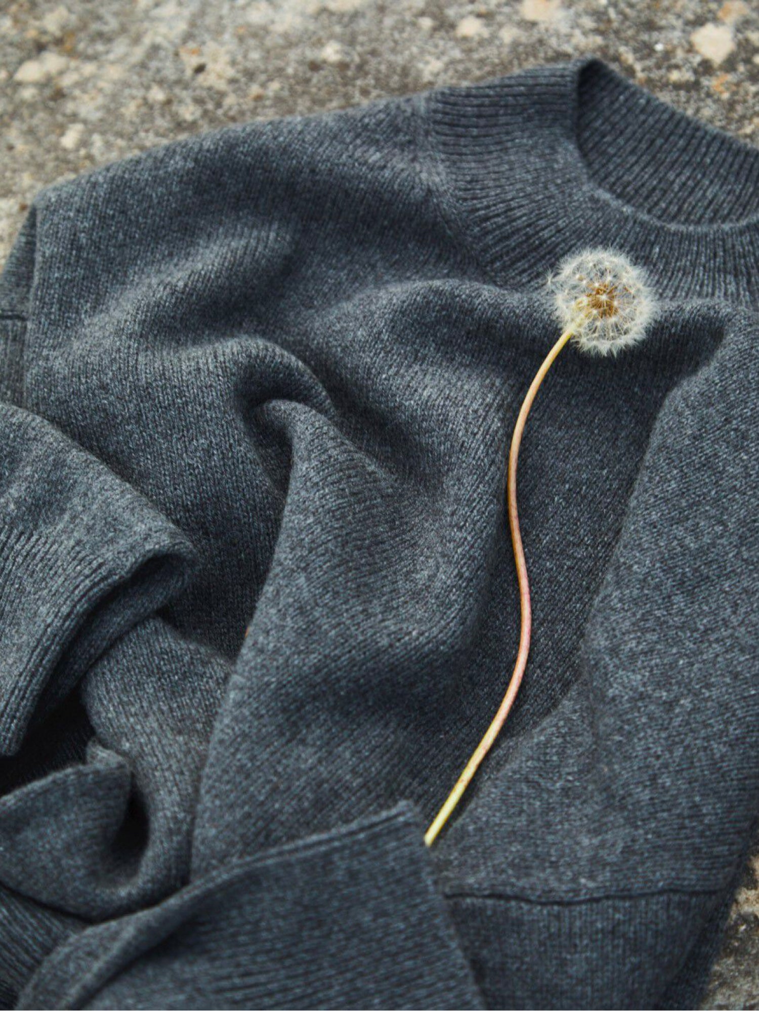 Dandelion on a folded sweater
